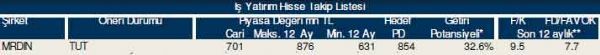 87 hisselik dev analiz