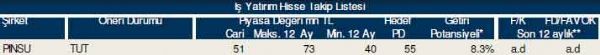 87 hisselik dev analiz