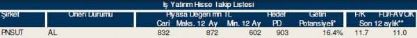 87 hisselik dev analiz