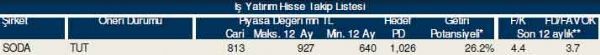 87 hisselik dev analiz