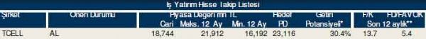 87 hisselik dev analiz