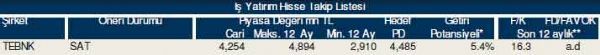 87 hisselik dev analiz