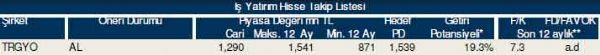 87 hisselik dev analiz