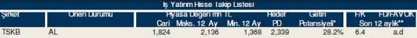 87 hisselik dev analiz