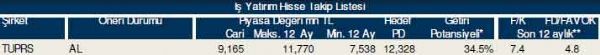 87 hisselik dev analiz
