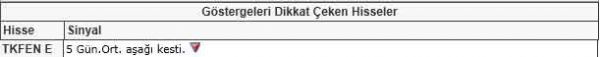 Dikkat çeken hisseler