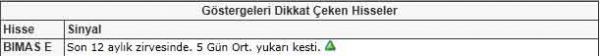 Dikkat çeken hisseler