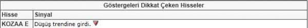 Dikkat çeken hisseler