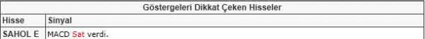 Dikkat çeken hisseler