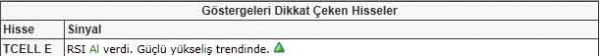 Dikkat çeken hisseler