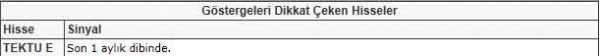Dikkat çeken hisseler
