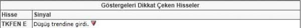 Dikkat çeken hisseler