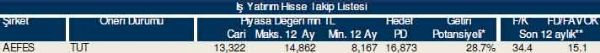 84 hisselik dev analiz
