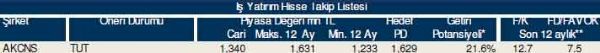 84 hisselik dev analiz