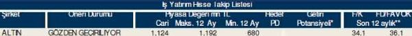 84 hisselik dev analiz