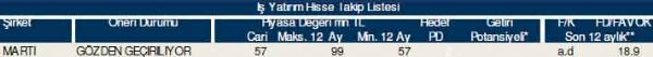 84 hisselik dev analiz
