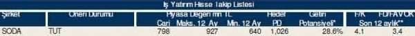 84 hisselik dev analiz