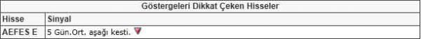 Dikkat çeken hisseler