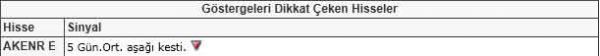 Dikkat çeken hisseler