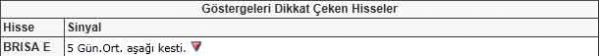 Dikkat çeken hisseler