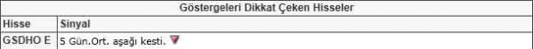 Dikkat çeken hisseler