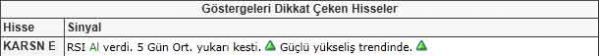 Dikkat çeken hisseler