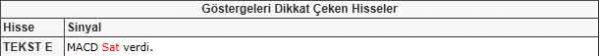 Dikkat çeken hisseler