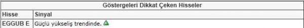 Dikkat çeken hisseler