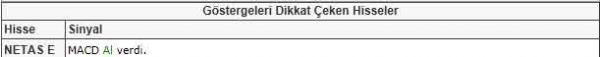 Dikkat çeken hisseler