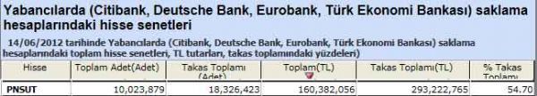 Yabancı saklamasındaki hisseler