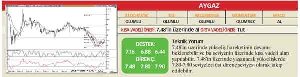 22 hisselik teknik analiz