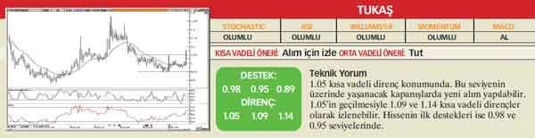 22 hisselik teknik analiz
