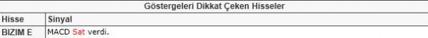 Dikkat çeken hisseler