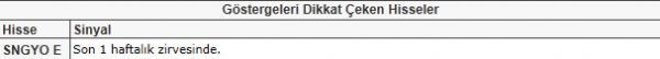 Dikkat çeken hisseler