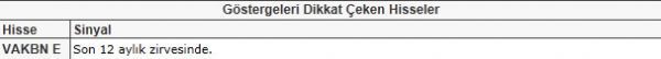 Dikkat çeken hisseler