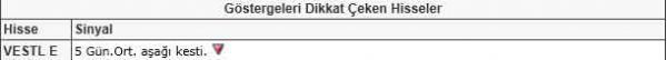 Bu hisselere dikkat!