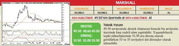 21 hisselik teknik analiz
