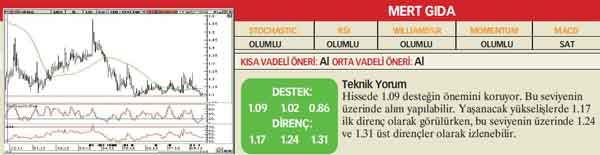 21 hisselik teknik analiz