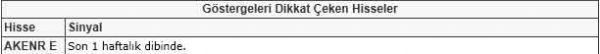 Dikkat çeken hisseler