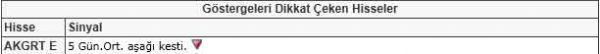 Dikkat çeken hisseler