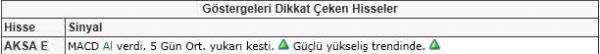 Dikkat çeken hisseler