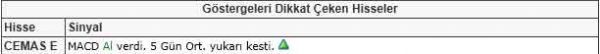Dikkat çeken hisseler