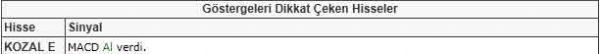 Dikkat çeken hisseler