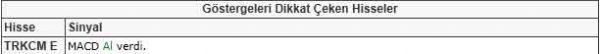 Dikkat çeken hisseler