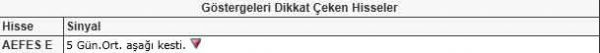 Dikkat çeken hisseler